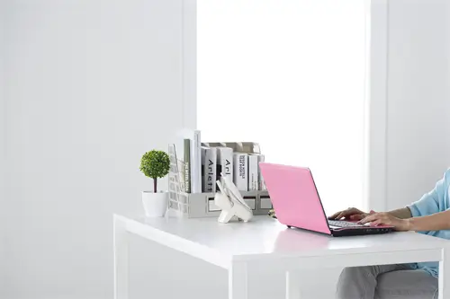 带鹦鹉住酒店攻略